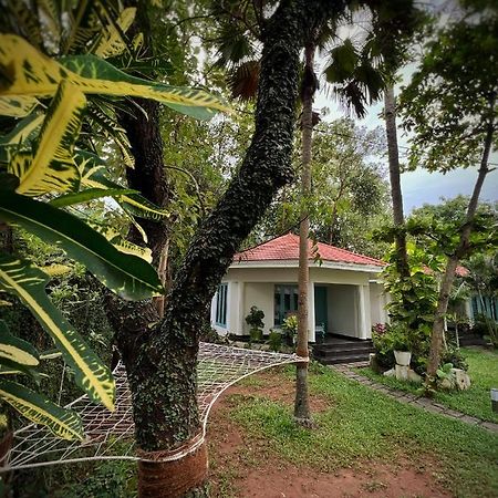 Hotel Paddle Cult Varkala Zewnętrze zdjęcie